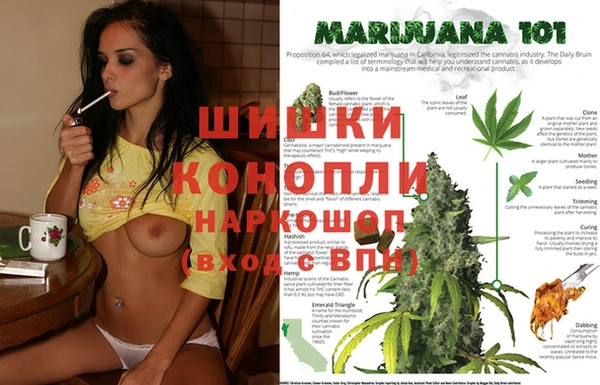 молекула духа Наволоки