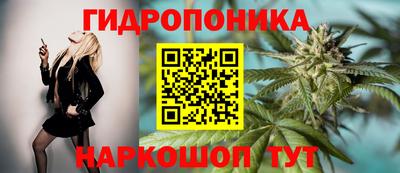наркотики Канаш