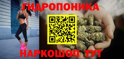 крисы Ирбит