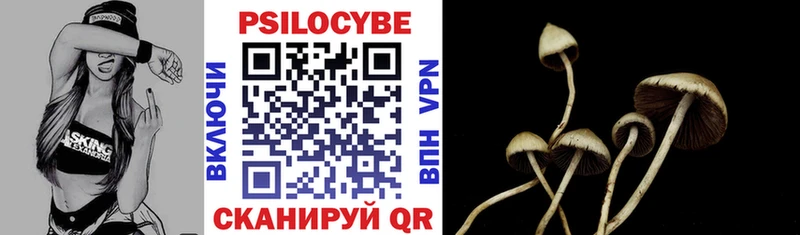 Псилоцибиновые грибы Psilocybe  Псков 