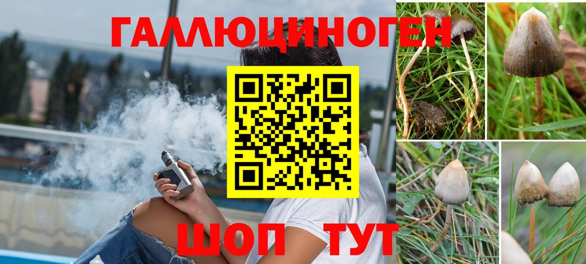 Псилоцибиновые грибы Psilocybe  Галлюциногенные грибы мухоморы  Псков  Вход с VPN 