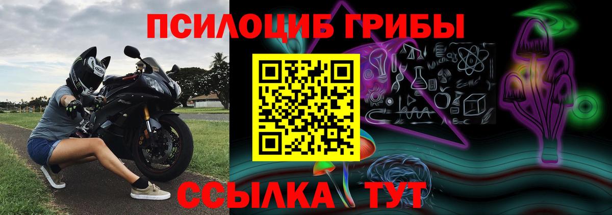 Псилоцибиновые грибы мухоморы Псков